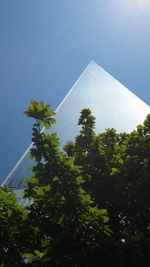 NYC_2014-06-02 12-27-21_CELL_20140602_122721
